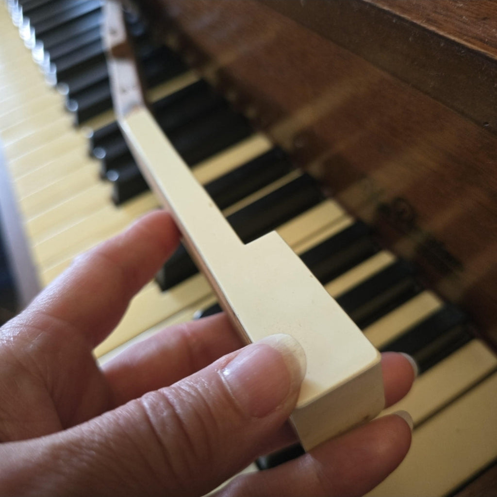 Hand holding a white piano key in front of a piano keyboard