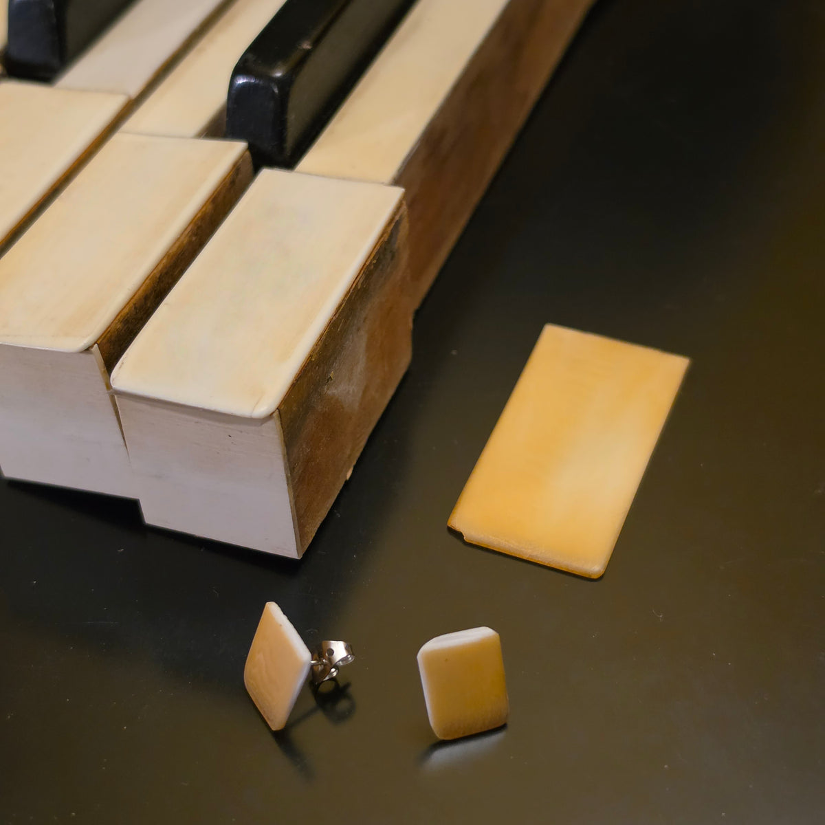 Piano Ivory Stud Earrings