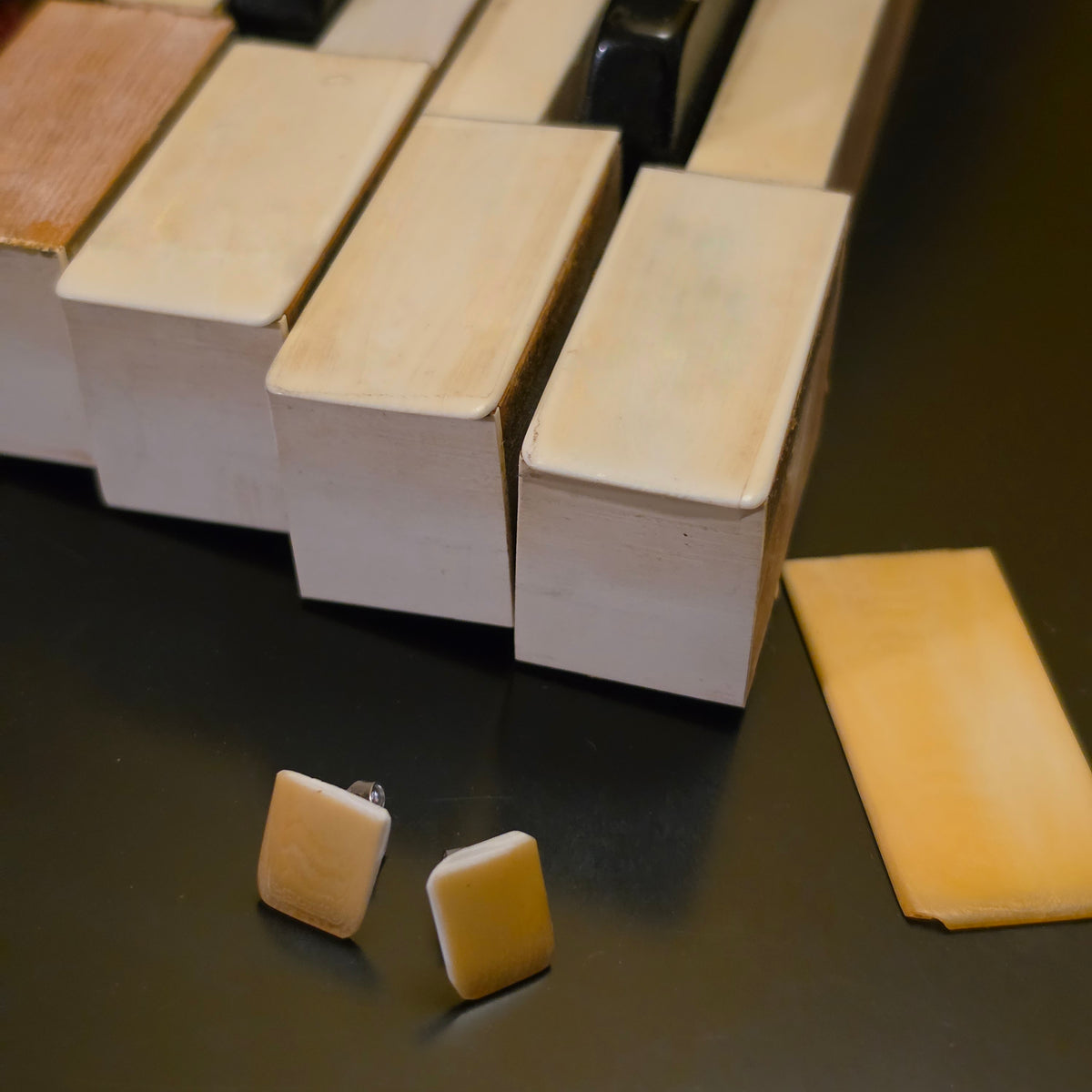 Piano Ivory Stud Earrings